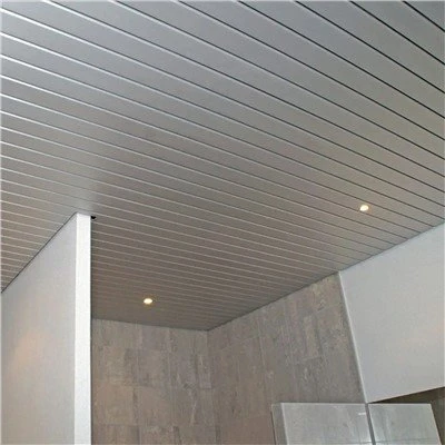 Metal Lath Ceiling